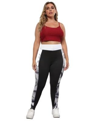 China PLUS SIZE New Arrive Printed High Waist Plus Size Leggings for sale