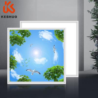 China 2021 Modern Office View Blue Sky Ceiling Skylight Skylight Led Panel Light for sale