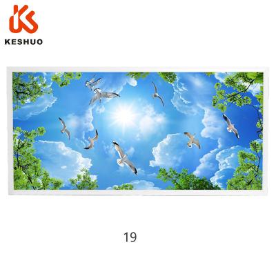 China Modern Flat Ceiling Panel Light Decoration Led Skylight Panel , Blue Skylight 60x60 LED Panel Light for sale