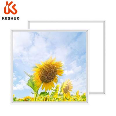 China KESHUO 600*600mm or other size modern customized sky led recessed ceiling light panel led panel light for sale