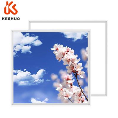 China Modern KESHUO Sky Cloud Flowers, Trees, Clouds Picture Panel Led Skylight Mood Sky Ceiling Panel Virtual Light for sale