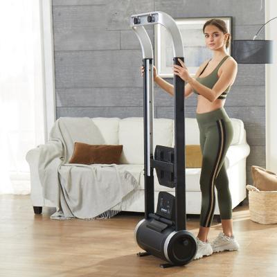 China Home Use Exercise Rowing Machine Magnetic Resistance Indoor Professional Foldable Rowing Machine For Home for sale