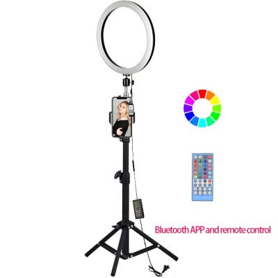 China Makeup Dimmable13inch LED Selfie RGB Ring Light With Tripod Stand Fill Light 30W Mini Studio Phone Video Lamp for sale