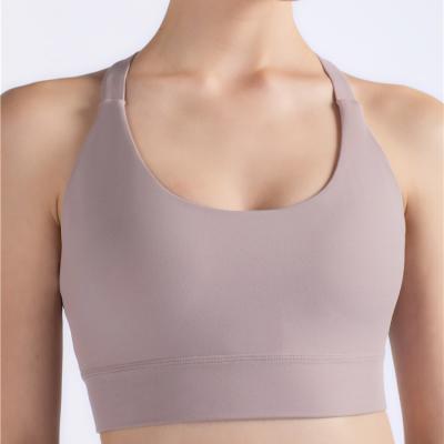 China New Arrivals Breathable Sports Bra 2021 Fashion Ladies Backless Sports Bra for sale