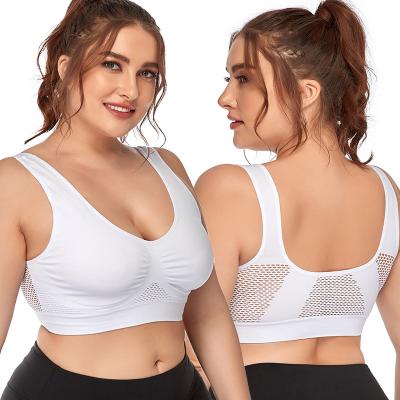 China 2021 Breathable Custom Logo Sports Bra Plus Size Mesh Padded Sports Bra for sale