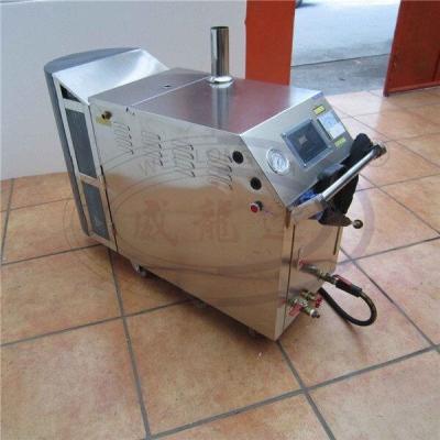 China WLD1190-380V LPG Portable Steam Car Wash Machine Stainless Steel Hot Selling In America for sale