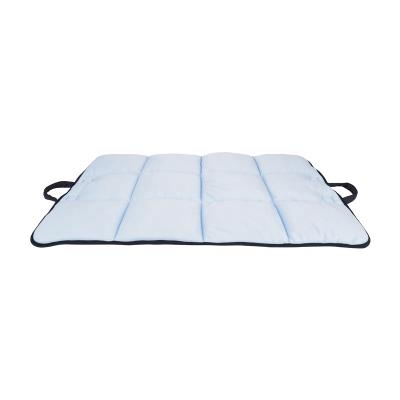 China Reversible Anti Mosquito Insect Proof Travel Friends LS Cloth Travel Cooling Portable Blanket Energetic Pet Mat For Summer for sale