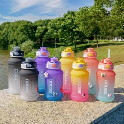 China Sustainable Sale DIY Top Stickers Bounce Straw Large Capacity Portable Outdoor Custom Plastic Drinking Water Bottle With Lid for sale