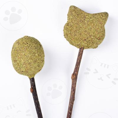 China Sustainable Plant Direct Edible Catnip Lollipop Cleaning Mouth Promote Digestion Cat Toy for sale