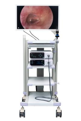 Cina Torre piena medica DJSXJ-IIa del sistema della macchina fotografica dell'endoscopio di HDMI HD in vendita