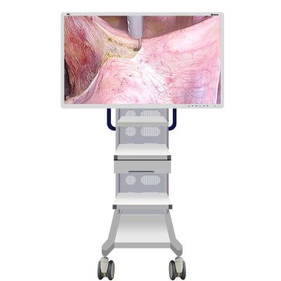 Cina Macchina fotografica medica del monitor dell'endoscopio con lo schermo 55inch in vendita