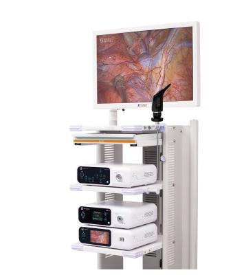 China Sistema DJSXJ-IIb de la cámara del endoscopio de la laparoscopia 4K del equipo de la proyección de imagen médica en venta