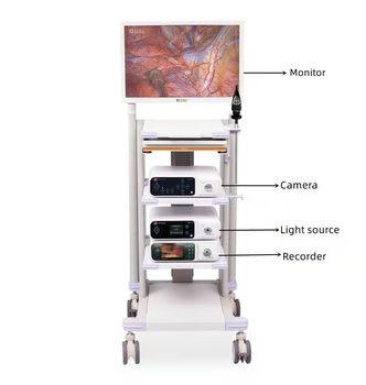 Cina Macchina fotografica piena dell'endoscopio del video registrazione HD di USB di imaging biomedico per la laparoscopia dell'otoscopio in vendita