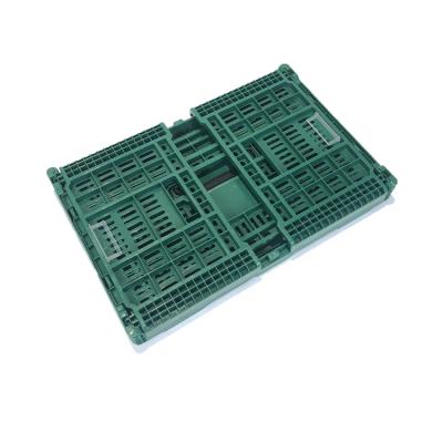 China Manufacturer Durable Hot Sale Logistics Plastic Collapsible Crate For Vegetables And Fruit for sale