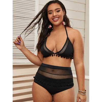 China Bather Two Piece Tasseled Top Removable Padded Bathing Suits Sheer Mesh Fabric Plus Size Triangle Edge Bikini New Arrivals Set Manufacturer for sale