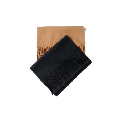 China 100% Acrylic Wholesale Lady Winter Simple Scarf With Tassel for sale