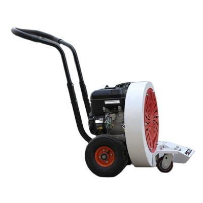 China Easy Operation Hand-push Road Gasoline Blower for sale