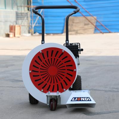 China For High Quality Artificial Grass Road Mini Cleaning Blower For Road Clearing for sale