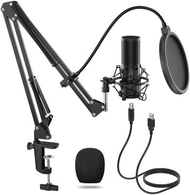 China Hot Selling Headset Microphone Studio Microphone Set With Mic Accessory For Webcast Live Music Recording Dubbing Adjustable Arm Singing Arm Bracket Mic for sale