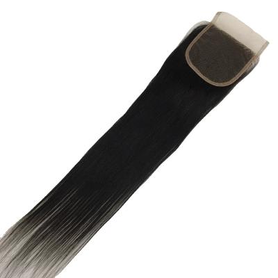 China Factory Made Straight Brazilian Skill Hair Bundles With Closure Closures for sale