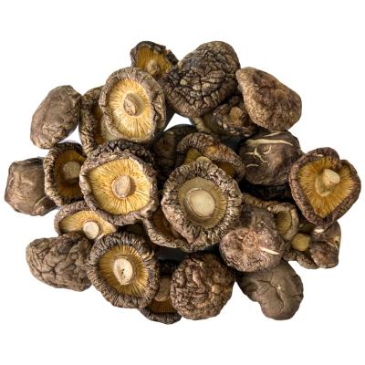 China shiitake mushroom shiitake mushroom dry organic dry shiitake mushroom chips dry mushroom for sale