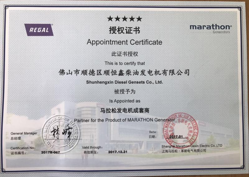 Proveedor verificado de China - Guangdong Sunkings Electric Co., Ltd