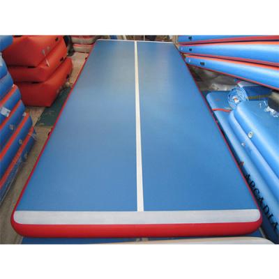 China 3M 5M 6M 8M 10m 12M Inflatable Gym Mat Air Tumble Track Tumbling House 120kg for sale