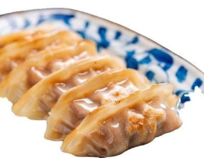 China 1 KG Frozen Dumplings Gyoza Shrimp Chicken Duck Vegetable Gyoza Delicious Sweet Taste for sale