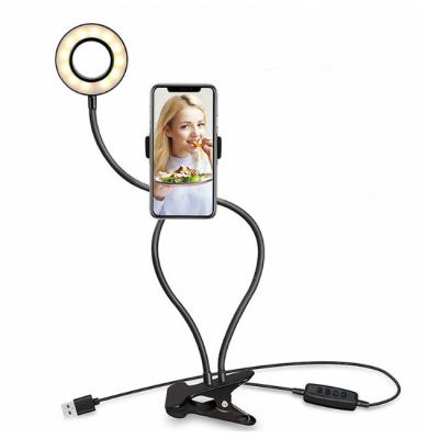 China Hot Selling Aluminum Selfie Phone Holder Led Ring Light Portable Photography Desktop USB Charging Led Ring Light for sale