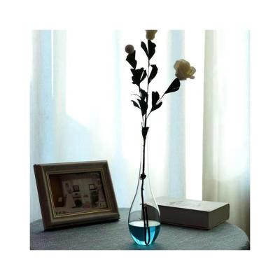 China Cheap and high quality hydroponic glass vase minimalist creative glass vase for flower for sale