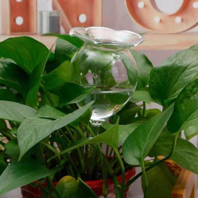 China New High Grade Design Self Watering Plant Watering Spikes Automatic Self Watering Automatic Plant Watering Bulbs for sale