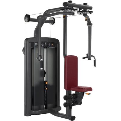 China New Next EVERE Strong FITNESS Strength Machine PEC Drive Double Back Delt Machine for sale