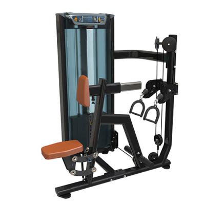 China EVERE Strong 2023 Row FITNESS High End Seated Row Exercise Chest Arm Gym Machine Hot Sale for sale