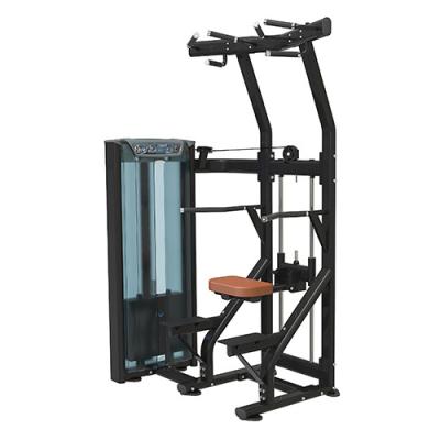 China Strong Strength Machine Chin Assist Selected Pin Loaded Dip Upper End FITNESS EVERE Hot Sale for sale