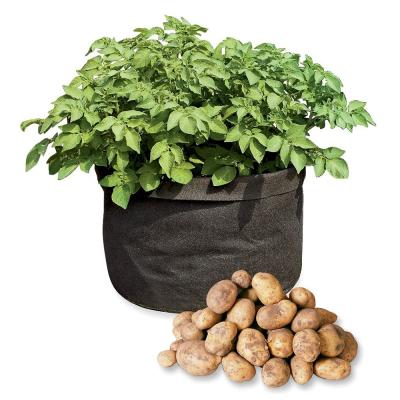 China Factory Price Durable Plastic Plant Bag Plant Grow Bags for sale