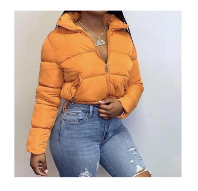 China Waterproof 2021 autumn and winter fashion long-sleeved warm down the new coated women's jackets and coats for sale