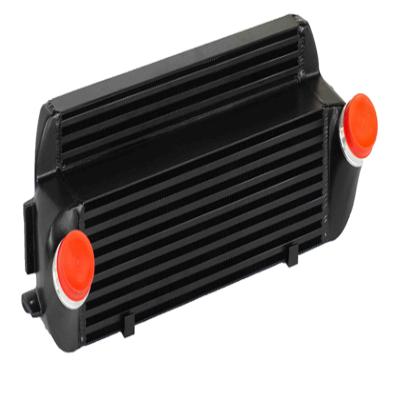 China N55 F20 F30 Automotive Cooling System Intercooler For BMW N55 F20 F30 Intercooler for sale