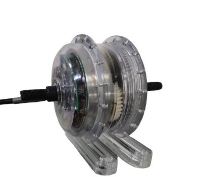 China 250W/350W/500W/750W/1000W/2000W Electric Wheel Hub Motor Hub Motor Bldc Hub Motor 12-29