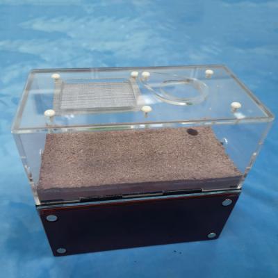 China Viable Customizable Acrylic Ant Housing Nest Worm Cage Ant Farm Ant Feeding House for sale