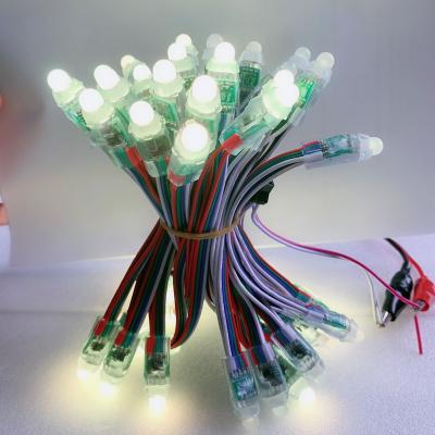 China Outdoor decoration building facade DC12V 12mm 50leds/string IP68 seven color led pixel holiday light working with LED controller for sale