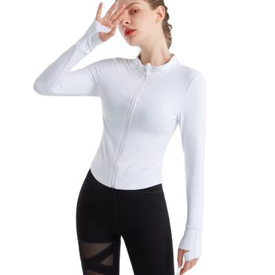 China Breathable Private Logo Manufacturer Fitness Clothing Women Long Sleeve High Compression Sets Workout Clothing for sale