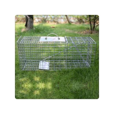 China High Quality Rital Fox Raccoon Live Animal Trap Viable Cage Folding Cat Live Cage for sale