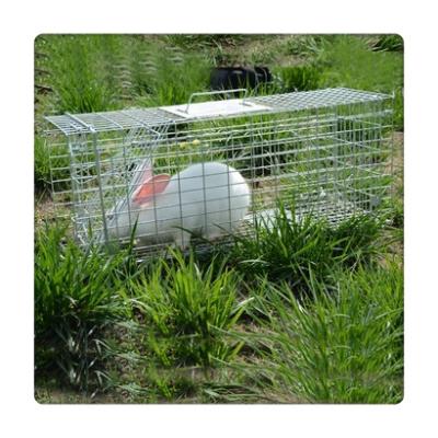 China Disposable Automatic Mouse/Rat/Rabbit/Dog/Chicken/Fox/Animal Cage Trap for sale