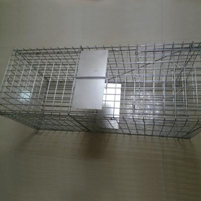 China Metal Wire Mesh Viable Humane Live Multi Rat Mice Rat Animal Trap Cage for sale