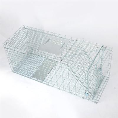 China Live Animal Trap Viable 24