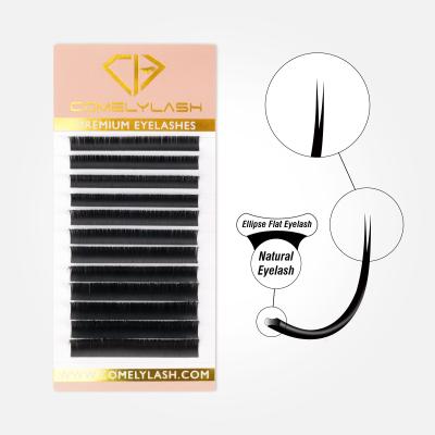 China 2021Hot Natural Long Sale Super Soft Flat Lashes Extensions 0.15 0.20 Ellipse Flat Lashes 0.07 Ellipse Flat Lashes for sale