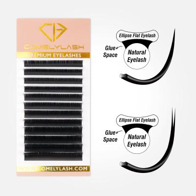 China Best Quality Ellipse Lash Classic Long Eyelash Flat Extension High Quality Natural 0.10 Supplies for sale