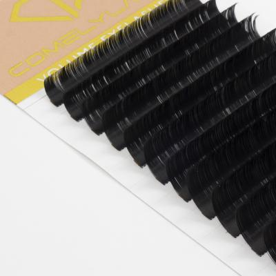 China Volume Eyelash Extensions Soft Soft Easy Fanning D Curl Eyelash Cashmere Fast Blooming Fanning Person for sale