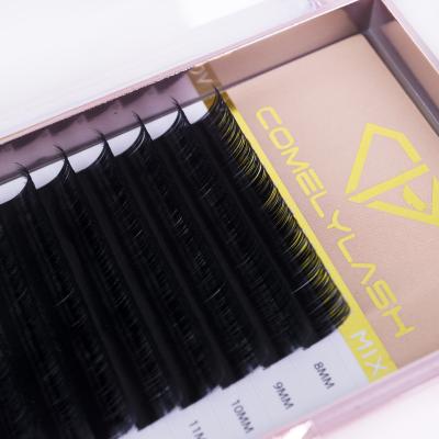 China Individual Lashes Comelylash Matte Mink Mink Private Label Eyelash Extensions Customized Packaging Lashes Vendors for sale