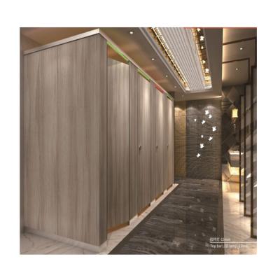 China AOGAO New Modern Design LED Lamp HPL and PVC Toilet Partition for sale